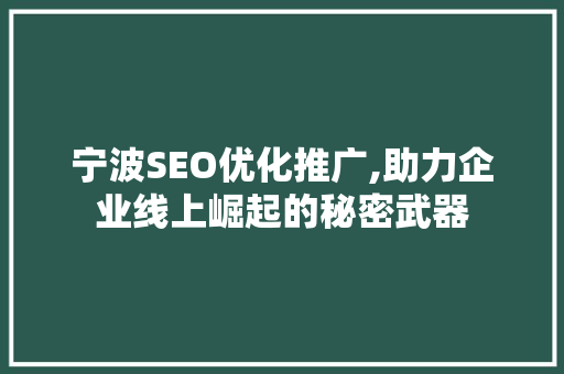 宁波SEO优化推广,助力企业线上崛起的秘密武器