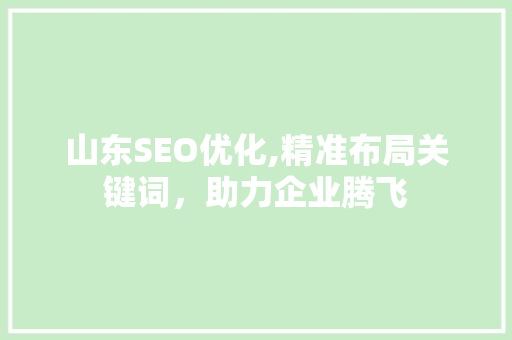 山东SEO优化,精准布局关键词，助力企业腾飞