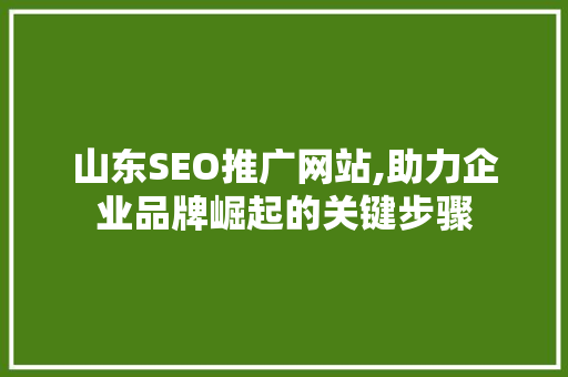 山东SEO推广网站,助力企业品牌崛起的关键步骤