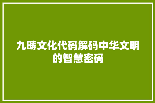 九畴文化代码解码中华文明的智慧密码