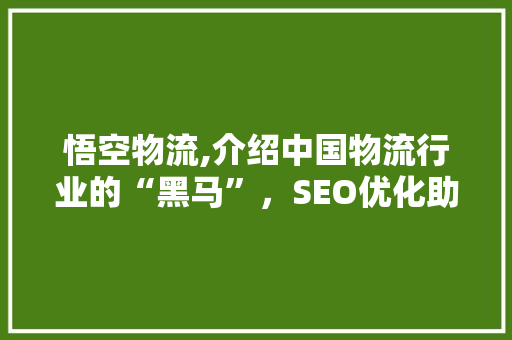 悟空物流,介绍中国物流行业的“黑马”，SEO优化助力行业崛起