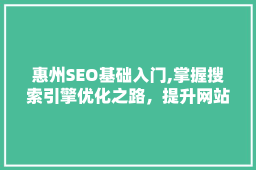 惠州SEO基础入门,掌握搜索引擎优化之路，提升网站流量与排名