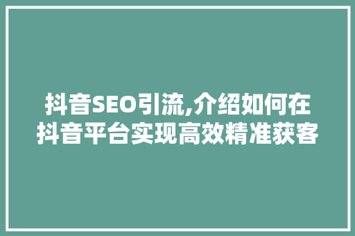 抖音SEO引流,介绍如何在抖音平台实现高效精准获客