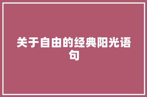 无锡SEO服务价格介绍,性价比之选，助力企业网络营销腾飞