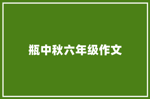 昆明SEO推广排名,介绍提升网站流量与转化率的秘密武器