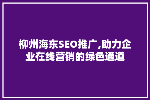 柳州海东SEO推广,助力企业在线营销的绿色通道