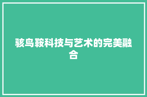 骇鸟鞍科技与艺术的完美融合