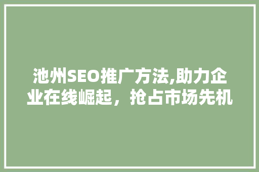 池州SEO推广方法,助力企业在线崛起，抢占市场先机