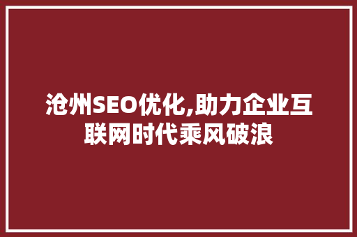 沧州SEO优化,助力企业互联网时代乘风破浪