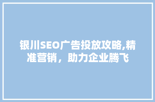 银川SEO广告投放攻略,精准营销，助力企业腾飞