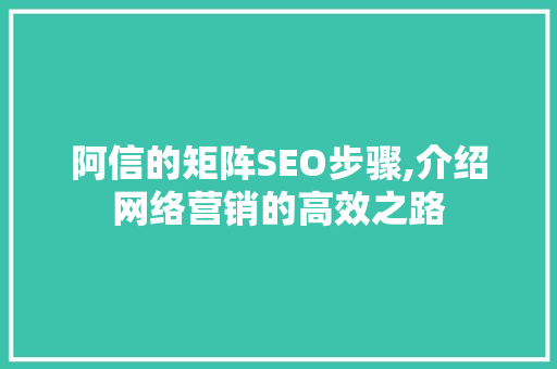 阿信的矩阵SEO步骤,介绍网络营销的高效之路