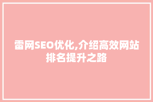 雷网SEO优化,介绍高效网站排名提升之路