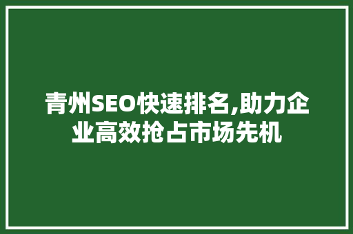 青州SEO快速排名,助力企业高效抢占市场先机