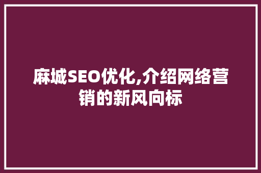 麻城SEO优化,介绍网络营销的新风向标