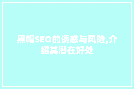 黑帽SEO的诱惑与风险,介绍其潜在好处