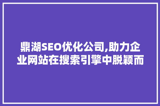 鼎湖SEO优化公司,助力企业网站在搜索引擎中脱颖而出