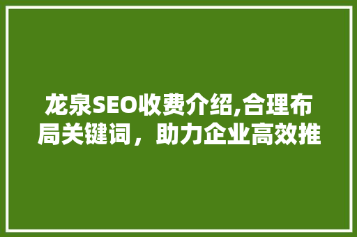 龙泉SEO收费介绍,合理布局关键词，助力企业高效推广