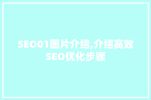 SEO01图片介绍,介绍高效SEO优化步骤