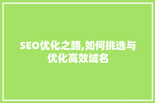 SEO优化之路,如何挑选与优化高效域名
