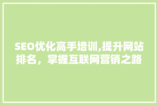 SEO优化高手培训,提升网站排名，掌握互联网营销之路