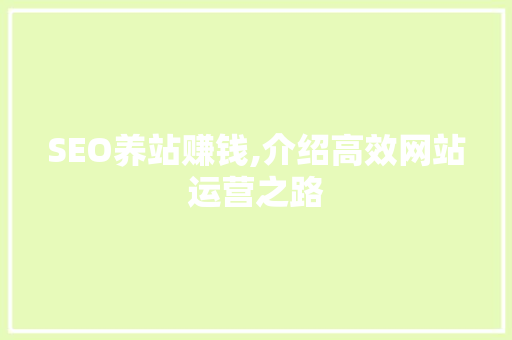 SEO养站赚钱,介绍高效网站运营之路
