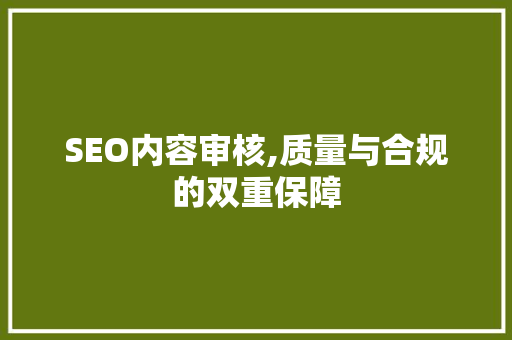 SEO内容审核,质量与合规的双重保障