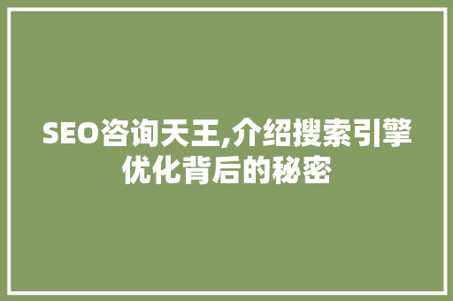 SEO咨询天王,介绍搜索引擎优化背后的秘密