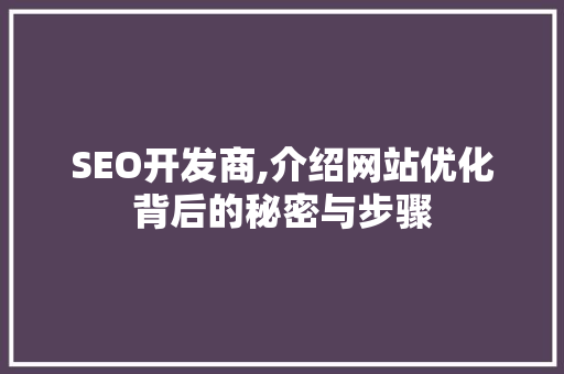 SEO开发商,介绍网站优化背后的秘密与步骤  第1张