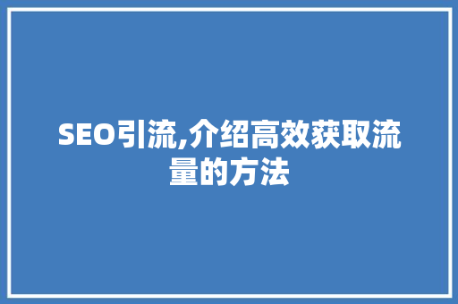 SEO引流,介绍高效获取流量的方法