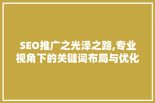SEO推广之光泽之路,专业视角下的关键词布局与优化步骤