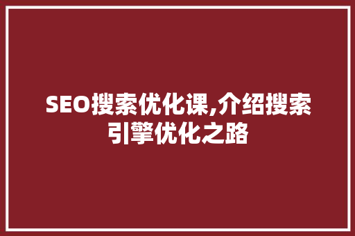SEO搜索优化课,介绍搜索引擎优化之路