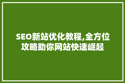 SEO新站优化教程,全方位攻略助你网站快速崛起