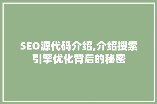 SEO源代码介绍,介绍搜索引擎优化背后的秘密