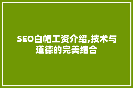SEO白帽工资介绍,技术与道德的完美结合