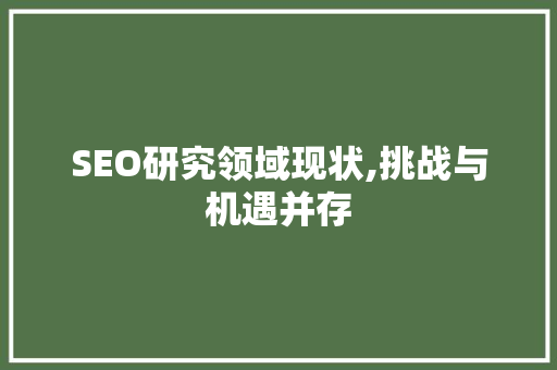 SEO研究领域现状,挑战与机遇并存