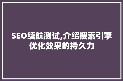 SEO续航测试,介绍搜索引擎优化效果的持久力