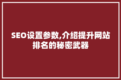 SEO设置参数,介绍提升网站排名的秘密武器