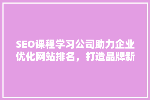 SEO课程学习公司助力企业优化网站排名，打造品牌新高度