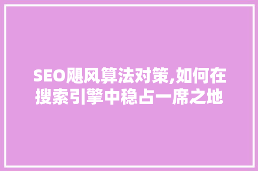 SEO飓风算法对策,如何在搜索引擎中稳占一席之地
