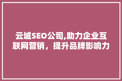 云城SEO公司,助力企业互联网营销，提升品牌影响力