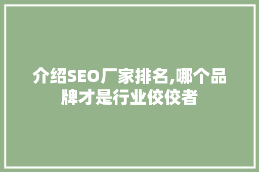 介绍SEO厂家排名,哪个品牌才是行业佼佼者  第1张