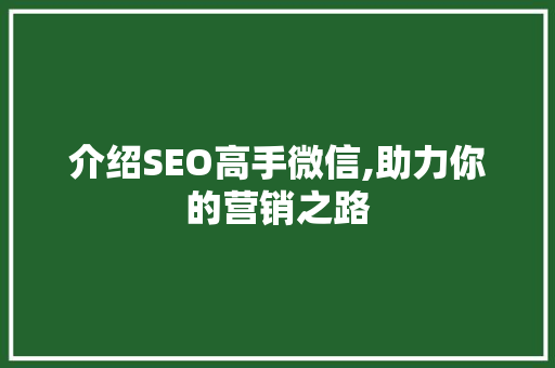 介绍SEO高手微信,助力你的营销之路