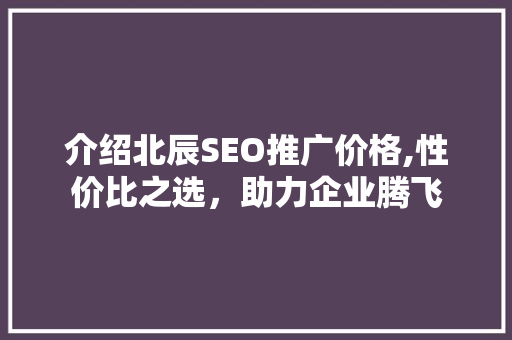 介绍北辰SEO推广价格,性价比之选，助力企业腾飞