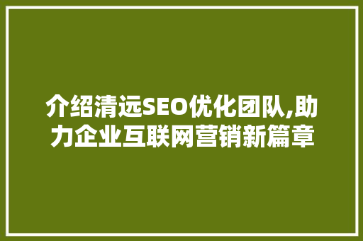 介绍清远SEO优化团队,助力企业互联网营销新篇章