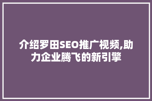介绍罗田SEO推广视频,助力企业腾飞的新引擎