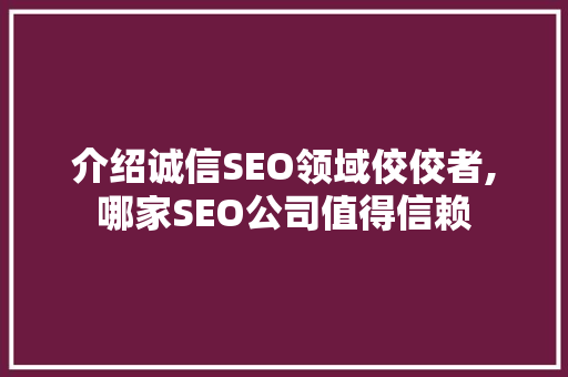 介绍诚信SEO领域佼佼者,哪家SEO公司值得信赖