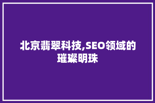 北京翡翠科技,SEO领域的璀璨明珠
