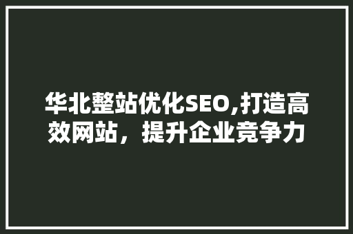华北整站优化SEO,打造高效网站，提升企业竞争力  第1张