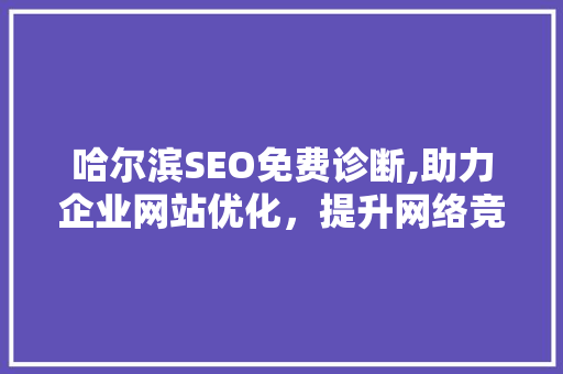 哈尔滨SEO免费诊断,助力企业网站优化，提升网络竞争力