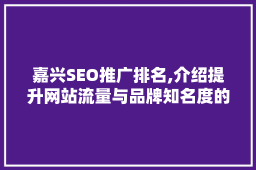 嘉兴SEO推广排名,介绍提升网站流量与品牌知名度的方法  第1张